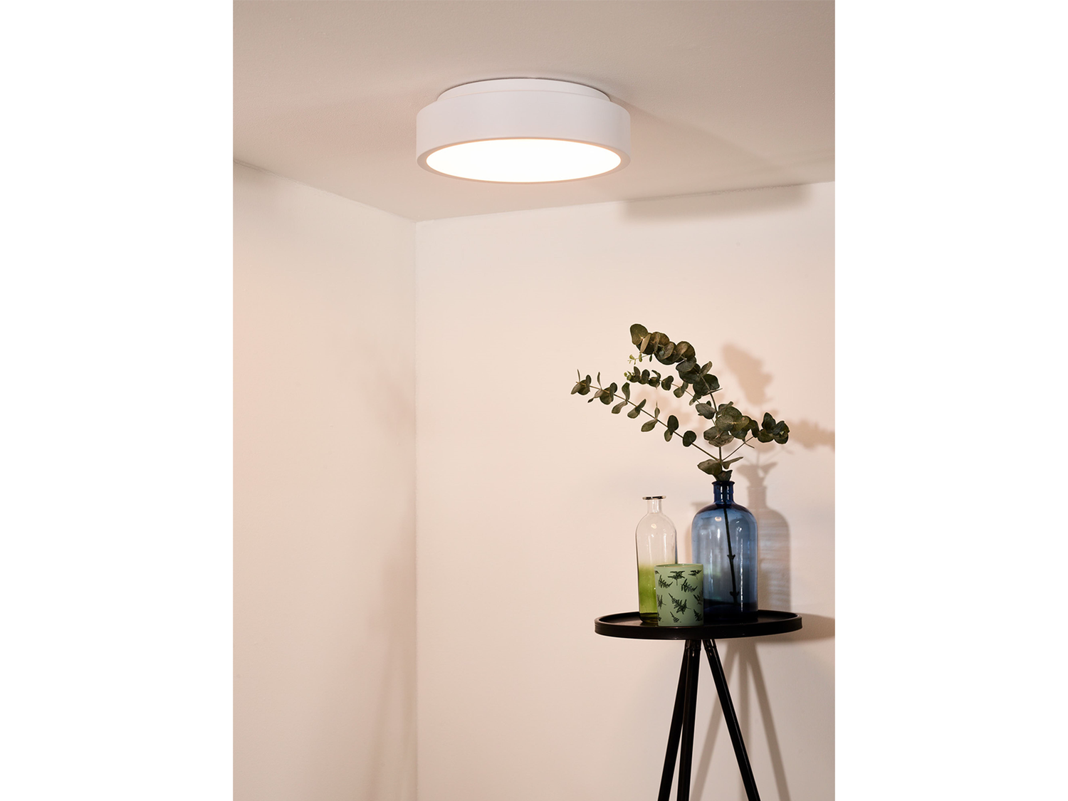 Stropní LED svítidlo Talowe bílé, 20W, 3000K, ø30cm