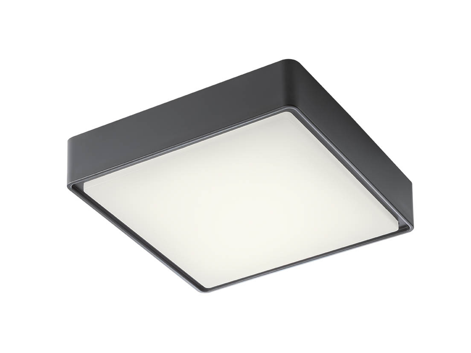 Stropní LED svítidlo Marina tmavě šedé, 12W, 3000K, 22cm